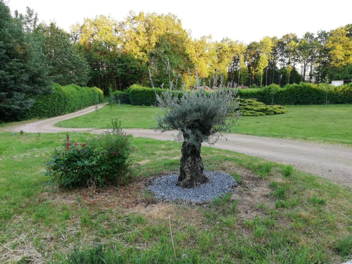 Le Gite Du Parc La Coquille エクステリア 写真